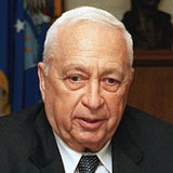 Ariel Scheinermann