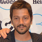 Diego Luna Alexander